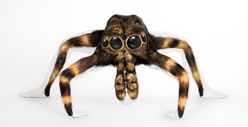 archiemcphee:  Fear not arachnophobes (or maybe do?), you aren’t really looking at a gargantuan tarantula, you’re visiting the Department of Astonishing Optical illusions and this is the spectacular work of UK-based concept body artist Emma Fay. She