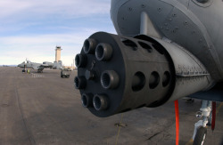 soldierporn:  The soul of Hildisvini. gunrunnerhell:  GAU-8 Avenger The massive gun that gives the A-10 Thunderbolt II (also known as the Warthog) it’s fearsome reputation. Each of the seven barrels has a 20,000 round life expectancy before needing