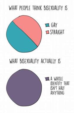 Bi-Trans-Alliance:  Bisexuality Is Its Own Identity, Not Half Gay/Half Straight.