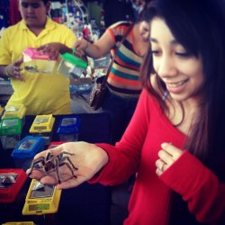 Tarantula in my hand! 