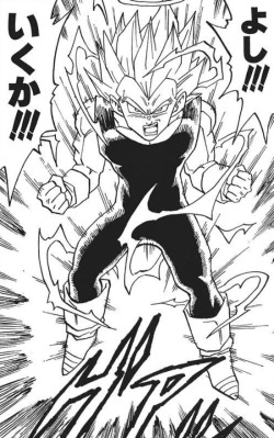 Haha, remember when Vegeta let half-perfect Cell evolve into Perfect Cell and then he got his dumb ass clobbered? Man, that was pretty funny. Hey if you got it, do you think you could cap that time Vegeta was crying cause he couldn&rsquo;t beat Frieza?