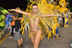   Rio de Janeiro carnival 2015 rocks to the beat of Samba - Metro