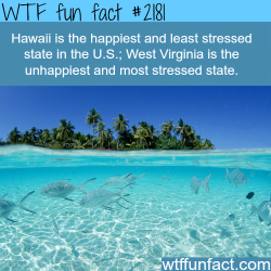 wtf-fun-factss:  Happiest and least stressed state in the U.S. - WTF fun facts