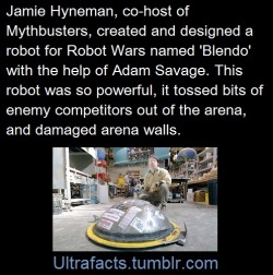mickeydraws: ultrafacts:  morwenpost:   ultrafacts:     Source Follow Ultrafacts for more facts     That sounds about right for Mythbusters.     - Blendo was put together before Mythbusters was a thing- Blendo was so strong and dangerous (for throwing
