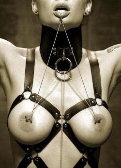 sexy-nipple-clamps:  Sexy Nipple Clamps Gorgeous