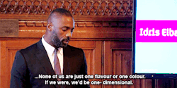 thedrmonkey:  nerdsagainstfandomracism:    Idris Elba: Speech on diversity in the media and film   I’m here to talk about diversity. Diversity in the modern world is more than just skin colour. It’s gender, age, disability, sexual orientation, social