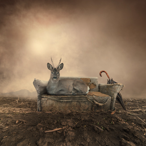 Sex sosuperawesome:  Caras Ionut pictures