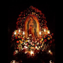 Lupita. #virgendeguadalupe #reinademexico #virgenmorena  (at Basílica De La Virgen De Guadalupe - Distrito Federal - México)