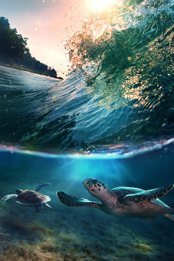 surfing-in-harmony:  ☼