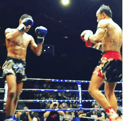 muaythaigifs:  Sityodtong  the push kick in muay thai is a lot like a jab, its used to create distance. it can hurt, but it’s not expressly used to hurt if you know what I mean. if you use your push kick to turn another mans face into a drug den door,