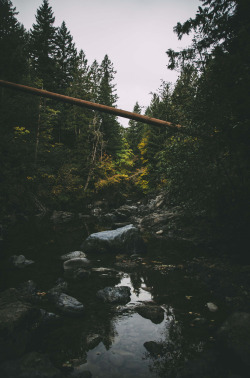 enchantinghearts:  DSC_5433 (by DeepLovePhotography)