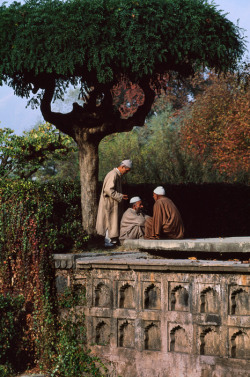i-long-to-travel-the-world:  ghamzadi: Kashmir, 1998 [Photo: Steve McCurry, Magnum Photos] - If you love this beautiful picture, like it. We post stuff just like this every day on Facebook. Like us by clicking here: http://on.fb.me/1bgLOYJ - You won’t