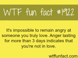 wtf-fun-factss:  Being angry on loved one