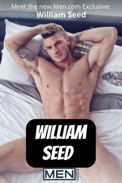 WILLIAM SEED at MEN - CLICK THIS TEXT to see the NSFW original.  More men here: http://bit.ly/adultvideomen
