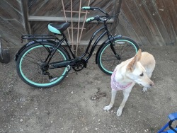Wish I had picked up bike riding sooner. Also Juvia wanted to be in the pic.