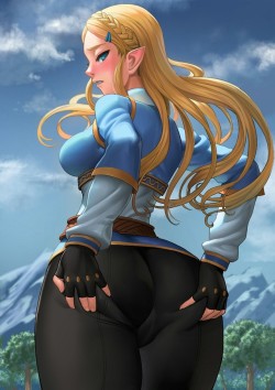 princess-knightmikan:Zelda from Breath of