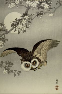 hoodoothatvoodoo:  Ohara Koson &lsquo;Scops owl in flight, cherry blossoms and full moon&rsquo; 1926