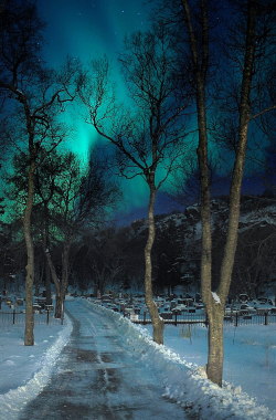 breathtakingdestinations:Kabelvåg - Norway (by Nick)