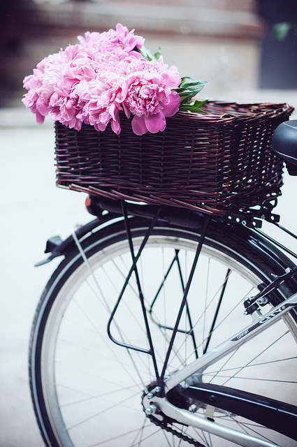 legs-up-and-down:  Bicycle and peonies by unaphotographista on Flickr. 