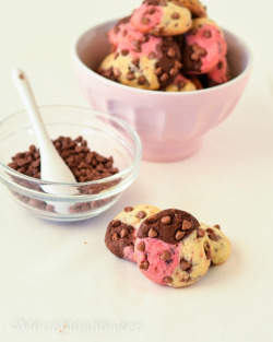 foodfuckery:   THICK BAKED NEAPOLITAN CHOCOLATE CHIP COOKIES Recipe  BRB BAKING MYSELF INTO A DIABETIC COMA
