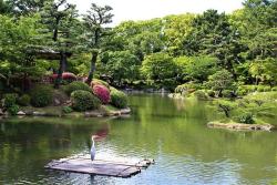 japanpix:  A Heron enjoying Shukkei-en Garden,