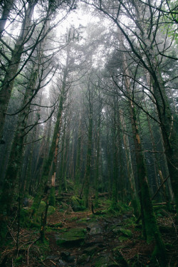 decepticun:  Untitled | by farbernathan