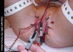 pussymodsgalore  BDSM pain games. Long ago I reblogged a picture of this same lady just after her outer labia were pierced and those barbells inserted. If this is all part of the same session, she has now had needles inserted and contacts added for a