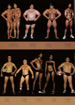 tally-art:  schweizercomics:  yamino:  thedragonflywarrior:  thedragonflywarrior: The Body Shapes of the World’s Best Athletes Compared Side By Side  Health and fitness comes in all shapes and sizes. Every single one of these athletes is a certified