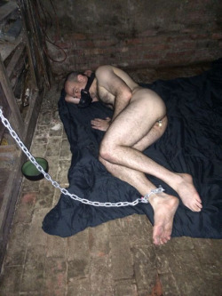 clevelandfag:  The fag in its cell in Sir’s basement during its first rest period yesterday afternoon.  The fag was thankful for the blanket and the water.  With the windows blacked out, the fag was left isolated and in total darkness with only its