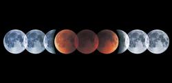 scienceyoucanlove:  See a Blood Moon in Shortest Eclipse of the CenturyA total lunar eclipse will dazzle sky-watchers in the western half of North America.By Andrew FazekasWestern North America will have a front-row seat on Saturday as the fullmoon gets
