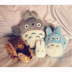 princess-mononoke:  Finally completed my Totoro plush family with an adorable Catbus! Iâ€™m super happy but now I need new plushes to collectâ€¦ 