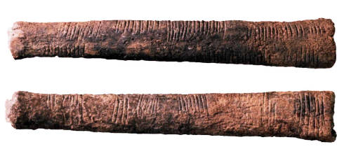 diasporicroots:  beautiesofafrique:  Ancient African Mathematics For measuring and counting 1. Lebombo Bone (35,000 BC) The oldest mathematical instrument is the Lebombo bone, a baboon fibula used as a measuring device and so named for its location of