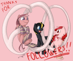 ask-sunset-spring:  [I love you all! Thanks you all so much for sticking with me, and I’d like to give a warm welcome to all my new followers! You guys are awesome!]  x3 Hee, congrats! ^w^
