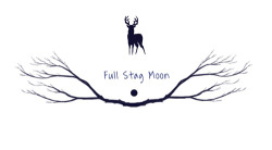 heylenne:  I did this in a few minutes break this afternoon when I realized we’re are having a supermoon tonight. So I thought maybe I could remind you as well to take a look outside and check if it’s indeed that bigger. It indeed feels like the Stag