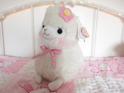 arupacasso:  arupacasso:  🌼 August Baby Boom! 🌼 http://alpacaparadise.storenvy.com ~Special Announcement from Alpaca Paradise~ Deluxe Baby Alpacasso will be going on the sale! The sale starts August 1st and ends on August 7th. The price of one
