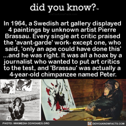did-you-know:  In 1964, a Swedish art gallery displayed 4 paintings by unknown artist Pierre Brassau. Every single art critic praised the ‘avant-garde’ work- except one, who said, ‘only an ape could have done this’ …and he was right. It was