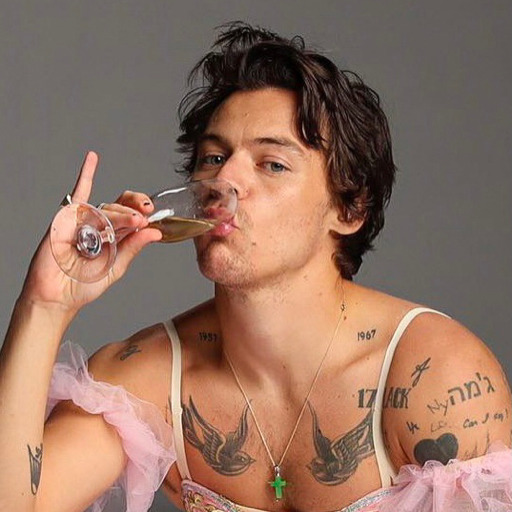 styloser:  *post about harry styles including his last name, one direction, the members of one direction, a tattoo harry has, and a personality trait harry has, all while being created by a person with a 1d url* “which harry potter book did that happen