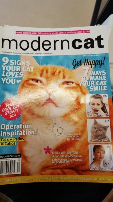 truenoodle:tittyrants:look at this amazing pure content at my vet’s officehow do i brighten my cat’s day?