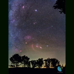 Comet Lovejoy in a Winter Sky #nasa #apod #comet #lovejoy #orion #orionsbelt #orionnebula #pleiades #betelgeuse #rigel #californianebula #barnardsloop #flamenebula #Spain #science #galaxy #nebula #universe  #space #astronomy