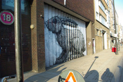 Itscolossal:  Lenticular Street Art By Roa (2009). (Via Twisted Sifter)