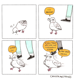 chuckdrawsthings: veganthranduil:   chuckdrawsthings: do pigeons sometimes forget they can fly or what actually!! apparently it takes up a lot of energy to lift off, so to pigeons, humans are just not worth the bother   this is an excellent fact. we are