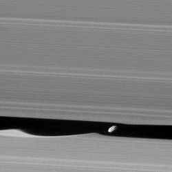 Daphnis the Wavemaker #nasa #apod  #ssi #jpl #esa #cassiniimagingteam #cassini #spaceprobe #spacecraft #daphnis #moon #saturn #planet #rings #waves #solarsystem #space #science #astronomy