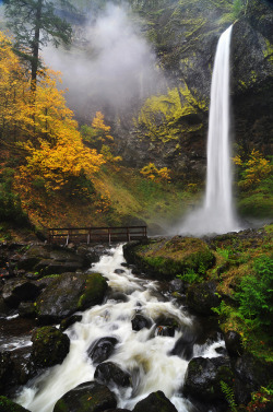 Djferreira224:  Elowah Falls, Autumn 2012 By Greglief ~ Elowah Falls, One Of The