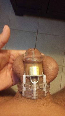 myhotwife88:  Besides the one time A let me out for a thirty second ruined orgasm I’ve been denied for 8 straight days. And before that I was able to fuck her with a condom on for a little bit. Almost a month and just two orgasms. I can’t remember