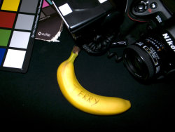  Terry Richardson’s reserved banana on