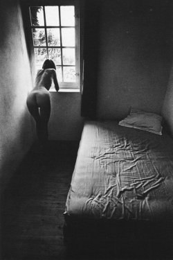 contemporaindufutur:  Jeanloup Sieff - Nude at Window, Ile de Re, 1976 
