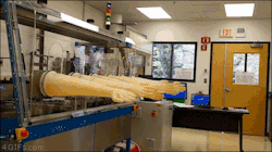 4gifs:  Laboratory work can get lonely. [video]