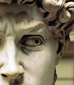 c0ssette:  Details of  Michelangelo’s masterpiece “David” 1501–1504 
