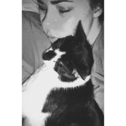 At least he loves me.💚  #bed #countdown #darkesttimescomebeforethedawn #furry #happy #kitten #love