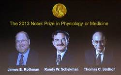 breakingnews:  Nobel Prize in medicine awarded